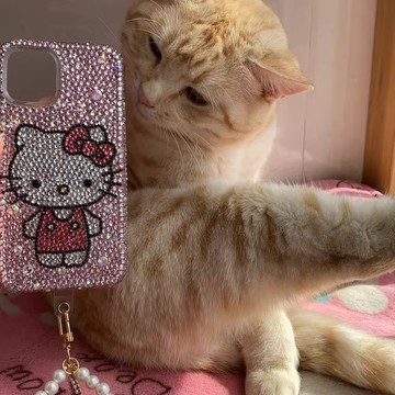 【懶懶同款】純手工鑲鑽手機殼適用iPhone16pro15蘋果系列手機殼高檔定做KT貓奢華水鑽