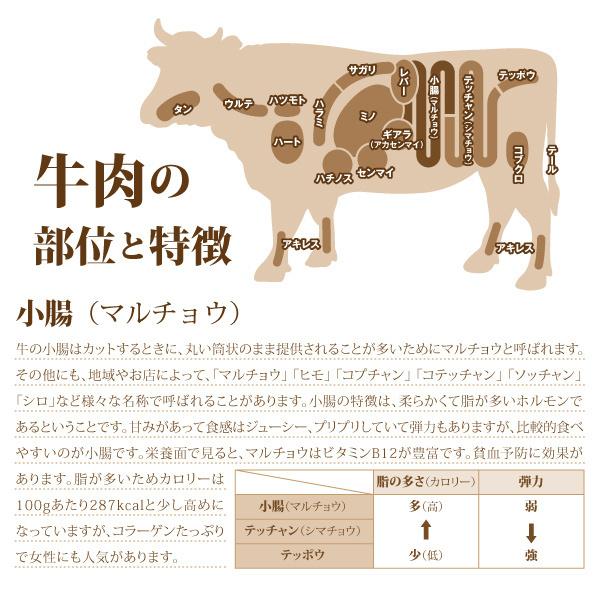 牛肉 小腸 500g 和牛 ホルモン モツ たっぷり マルチョウ まる腸 焼肉 焼き肉 肉 お肉 牛 バーベキュー BBQ 内臓肉