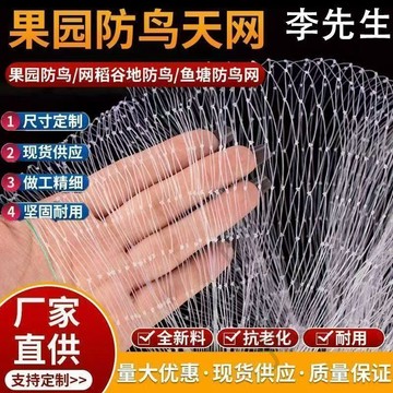 【臺灣上新】 果園大棚加粗耐用尼龍網稻穀櫻桃葡萄梨樹草莓防鳥網魚塘泥鰍天網 優選