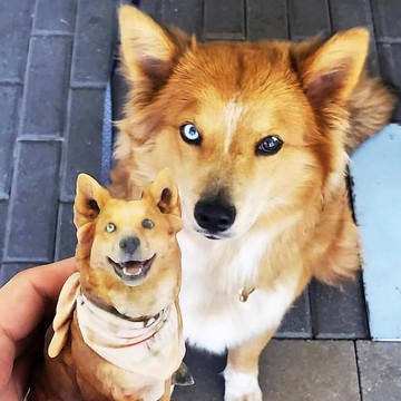 【客製化3D寵物紀念公仔】訂製手作似顏繪肖像狗狗貓咪毛小孩娃娃