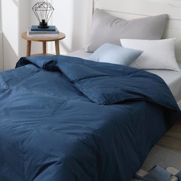 EASY LIFE 90％十月羽絨被/可蓋一整年的好被子-單人 單人/十月被/奶茶棕