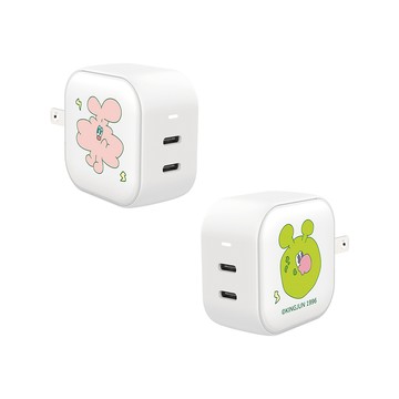 【TOYSELECT】KINGJUN奇幻世界GaN 45W Type-C雙孔充電頭