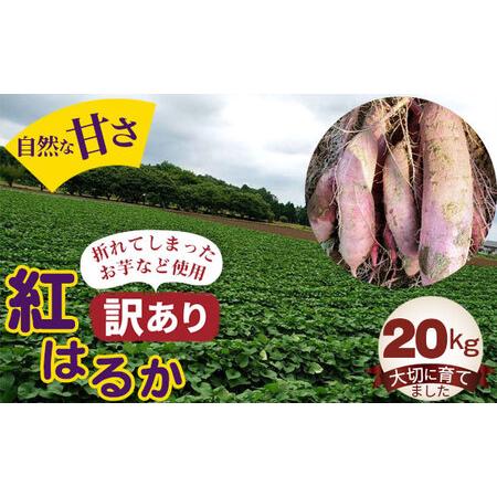 ふるさと納税 No.408 紅はるか20kg 茨城県坂東市