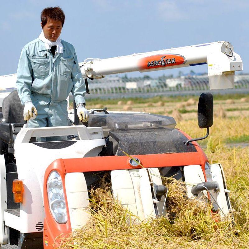 新米 令和4年産 鳥取県 北栄町産 ミルキークィーン 日置さん家のお米 10kg 白米or 玄米or 無洗米 選択可 西日本 (白米)