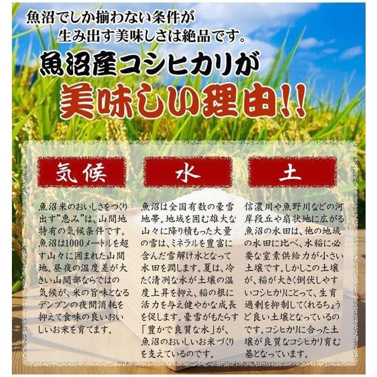 令和５年産新米 新潟県南魚沼しおざわ産プレミアム コシヒカリ 「極み」 玄米30kg 送料無料