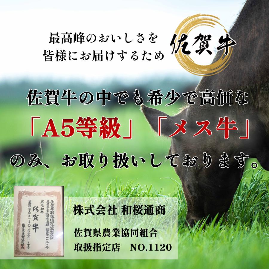 佐賀牛 霜降りサーロイン 250g しゃぶしゃぶ・すき焼き用 霜降り肉 1~2名様用 黒毛和牛