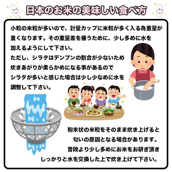 米 お米 米 白米 精米 日本のお米 ブレンド米 国内産 10kg ブレンド 10キロ 送料無料 即日発送 当日発送