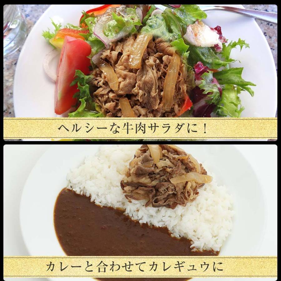 (メーカー希望小売価格6000円→3380円) 牛丼 牛丼の具 松屋 乳酸菌入り牛めし10食（プレミアム仕様） 牛丼 おつまみ 牛丼 肉 食品 まつや