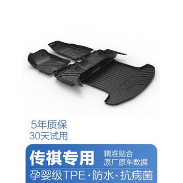 傳祺GS8腳墊tpe防水專用影酷GS4影豹GS3影速GS5 ES9汽車腳踏墊