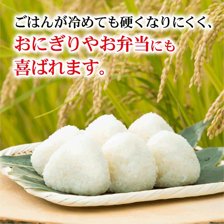 米 新潟産 新之助 3合（450ｇ）真空 パック キューブ型 プチギフト 新潟の手土産