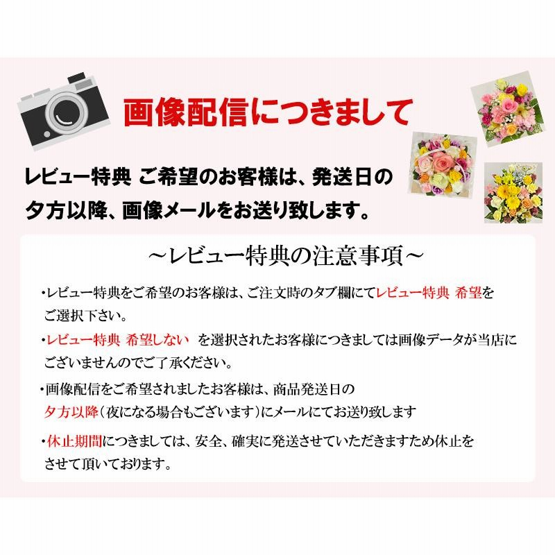 花 お供え お悔やみ 法事 命日 仏花 ペット お供え物 月命日 一周忌 三回忌 七回忌 四十九日 月命日 法要 供花 フラワーアレンジメント 花農家直送  送料無料 通販 LINEポイント最大0.5%GET LINEショッピング