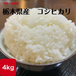 令和5年度 栃木産こしひかり ４kg ２kg×２　送料無料 コシヒカリ 米 お米 美味しい おこめ こめ ブランド おにぎりにおいしい おべんと