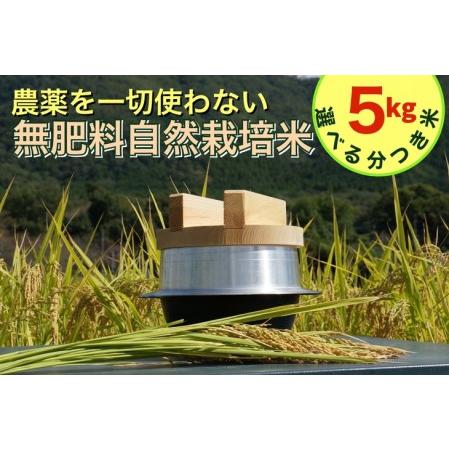 ふるさと納税 新米 令和5年産自然栽培米 にこまる ＜農薬を一切使わない無肥料栽培＞ 分つき米５kg・精米したて 《2023年産 京都丹.. 京都府亀岡市