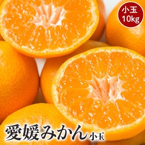 愛媛みかん 小玉 10kg 2S～Sサイズ混合 訳あり愛媛県産