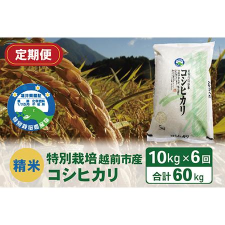 ふるさと納税 〈先行予約〉（令和5年度新米 精米）特別栽培 越前市産コシヒカリ 10kg×6回 福井県越前市