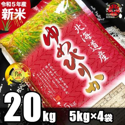 ふるさと納税 帯広市 令和5年産 北海道産 ゆめぴりか 精米20kg (5kg×4袋)