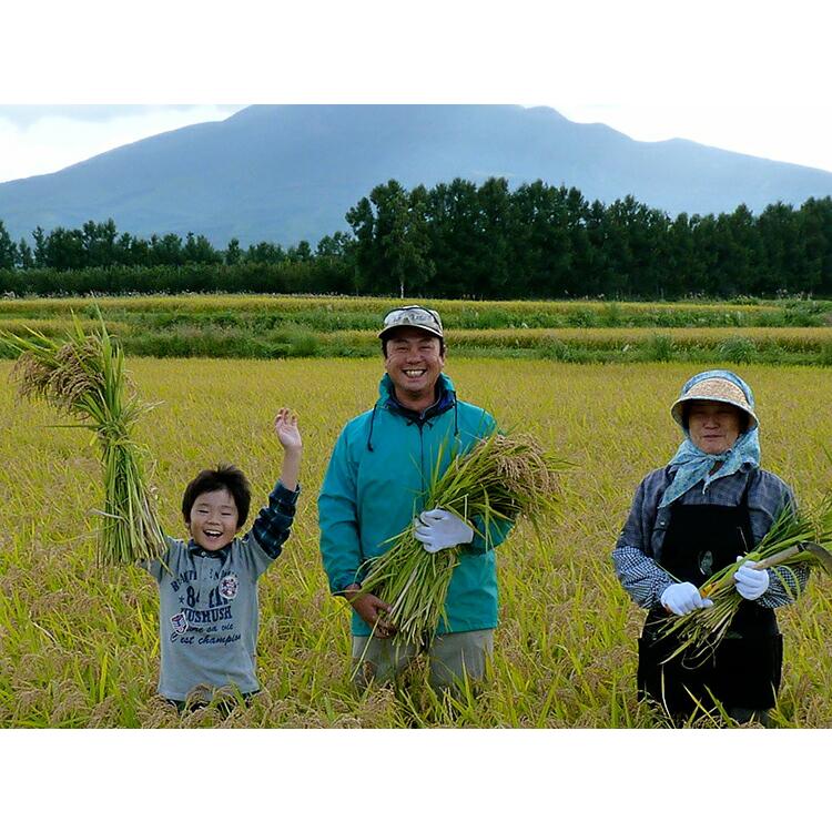 米 10kg 青森県産 4年産 特別栽培米 まっしぐら 玄米10kg（5kg×2）玄米食 人気 安い