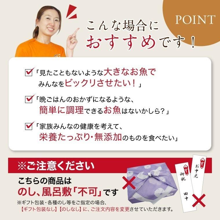 特大 サバ 干物 1尾×10パック 巨大 キング さば 鯖 干物セット 真空パック 一夜干し 一夜干し魚 一夜干しセット ((冷凍))