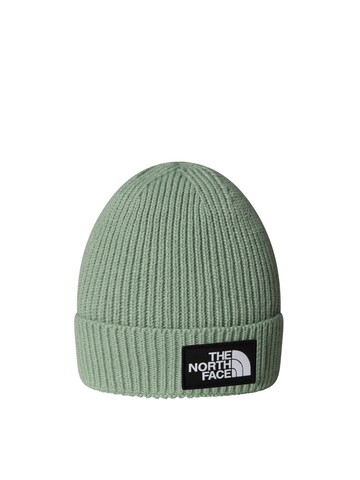 the north face beanie with logo