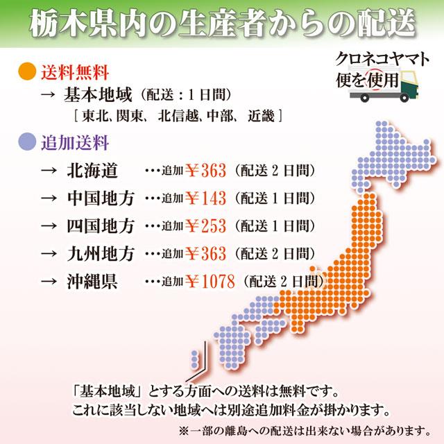 新米 コシヒカリ 5kg あすつく 送料無料 こしひかり ギフト プレゼント お米 米 無洗米 白米 玄米 おこめ こめ コメ 栃木県 2023年産 お祝い 内祝 お取り寄せ