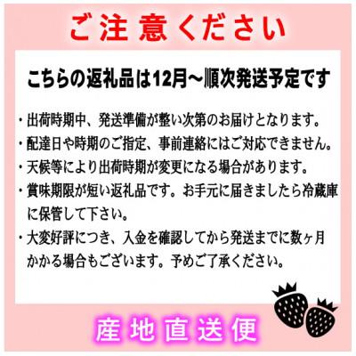 ふるさと納税 八女市 『先行受付』JAふくおか八女より産地直送※12月上旬より順次発送