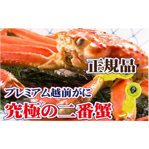 ふるさと納税 福井県 越前町 越前がに本場の越前町からお届け！ 越前がに × 1杯（二番蟹）究極のプレミアム越前がに【福井県 越前町 雄 ズワ…