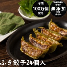 年間100万個完売!餃子の餃天の