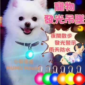 🚀隔日到貨🚀寵物LED發光吊墜燈  夜間遛狗吊墜 發光吊飾 寵物吊飾 發光項圈 LED發光吊墜 防丟失狗牌小夜燈 警示燈