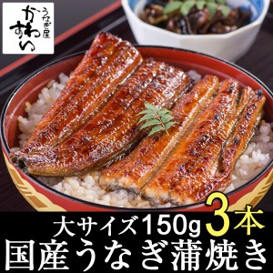 国産 うなぎ蒲焼き 大サイズ150g×3本 国産うなぎ 蒲焼き タレ付き 送料無料 山椒別売り 国産 うなぎ お取り寄せ グルメ 贅沢 おうちで