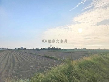 將軍2.5分方正美農地近台17線｜台南市將軍區將軍段