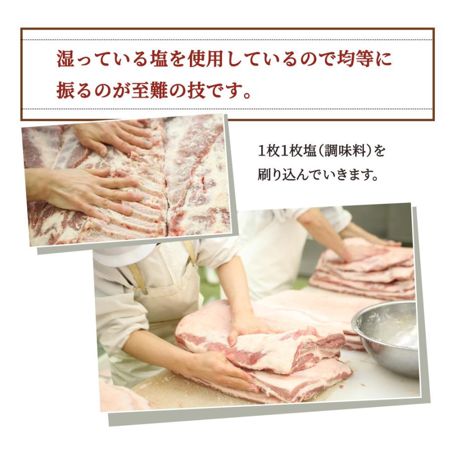 訳あり やまと豚 ベーコン 切り落とし 1kg NS-CM [冷凍] 食品ロス 訳アリ 食品 アウトレット 訳ありベーコン 在庫処分 肉 切り落としベーコン 詰め合わせ