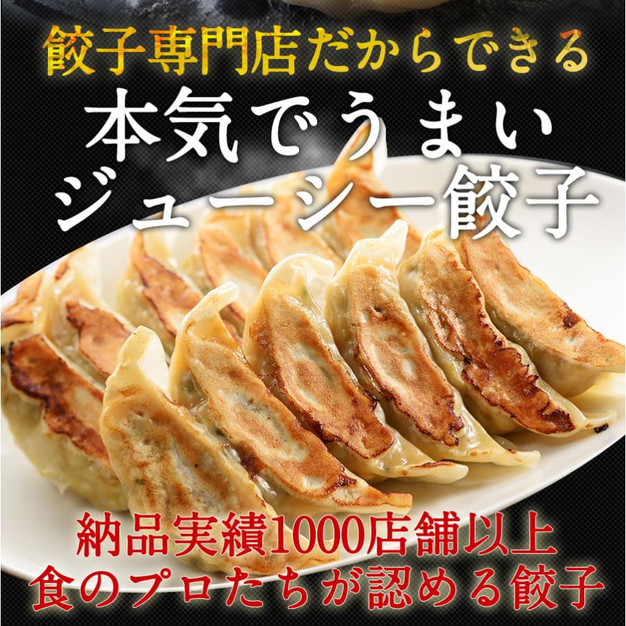 餃子 取り寄せ 送料無料 業務用 冷凍 生餃子 国産素材 時短 お手軽 簡単 大容量 餃子計画 業務用の特製生餃子 200個袋入