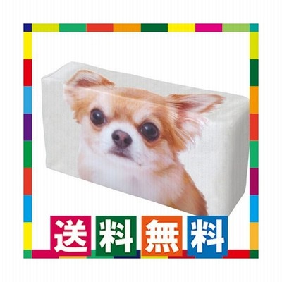 ケース 犬 ティッシュの通販 1件の検索結果 Lineショッピング