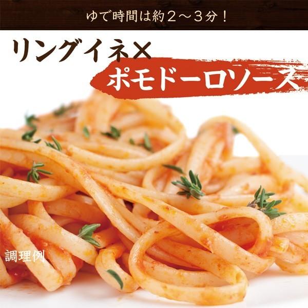 生パスタ フェットチーネ リングイネ スパゲティ 12袋 送料無料（北海道・沖縄・離島 1500円）業務用 ギフト グルメ 食品 大容量 まとめ買い