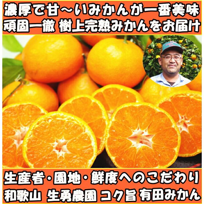 みかん 有田 小玉 甘い 糖度 和歌山 生勇農園 樹上完熟 早生 10kg Sサイズ お歳暮 贈答用 ギフト 農家直送