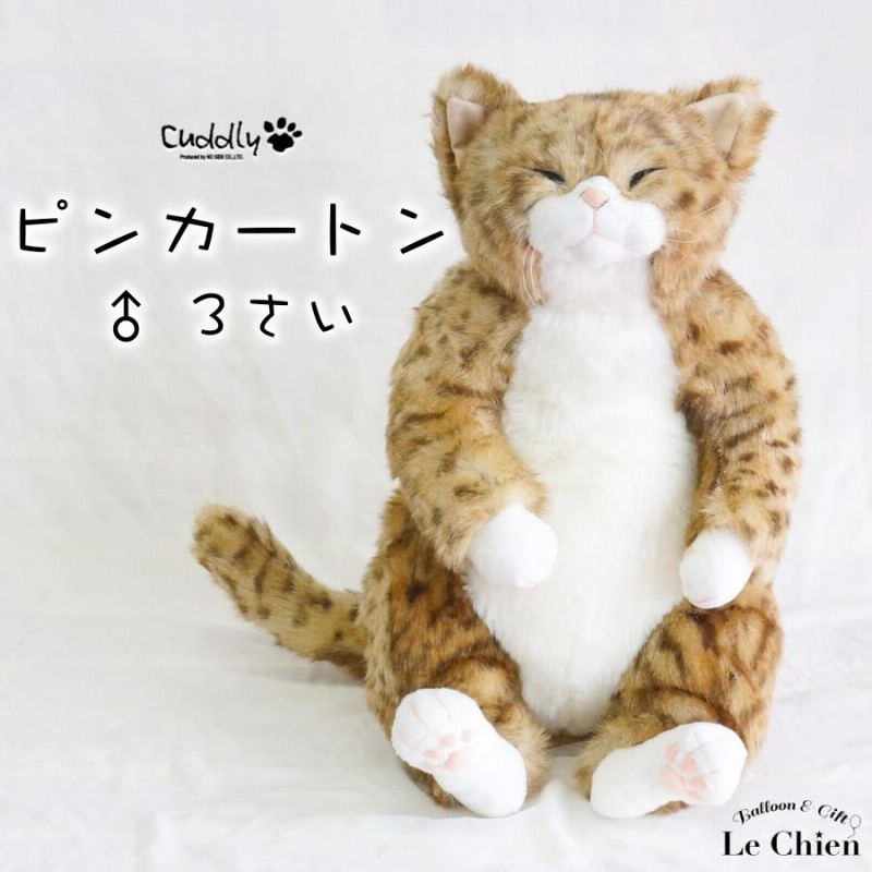 ぬいぐるみ 猫 ハチワレ《甚五郎 JingoroI》白黒 cuddly カドリー ね