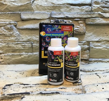 【西高地水族坊】 以色列Red Sea 紅海 珊瑚能量食物A&B 100ml