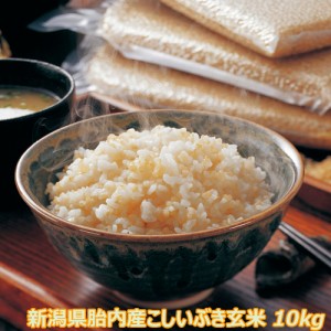 令和5年産 新潟産こしいぶき 10kg 玄米 食味Ａランク 農薬節減（7割減） 有機肥料栽培米・残留農薬ゼロ（検査済） 一等級