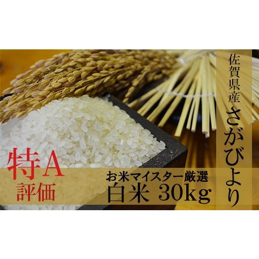 ふるさと納税 佐賀県 鹿島市 F-9鹿島市産厳選さがびより 白米３０kg