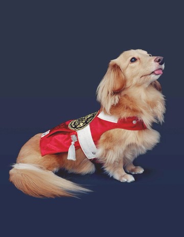 赤霄 Among 胸背衣 (夏款棉布底布)