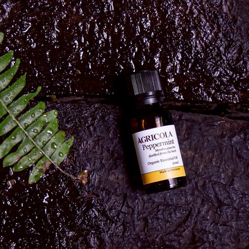 有機胡椒薄荷精油 - 德國原裝進口 純植物萃取天然擴香