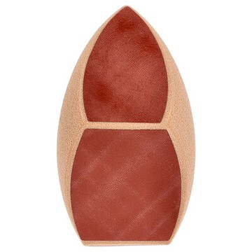 Real Techniques, 美妝海綿，1 塊