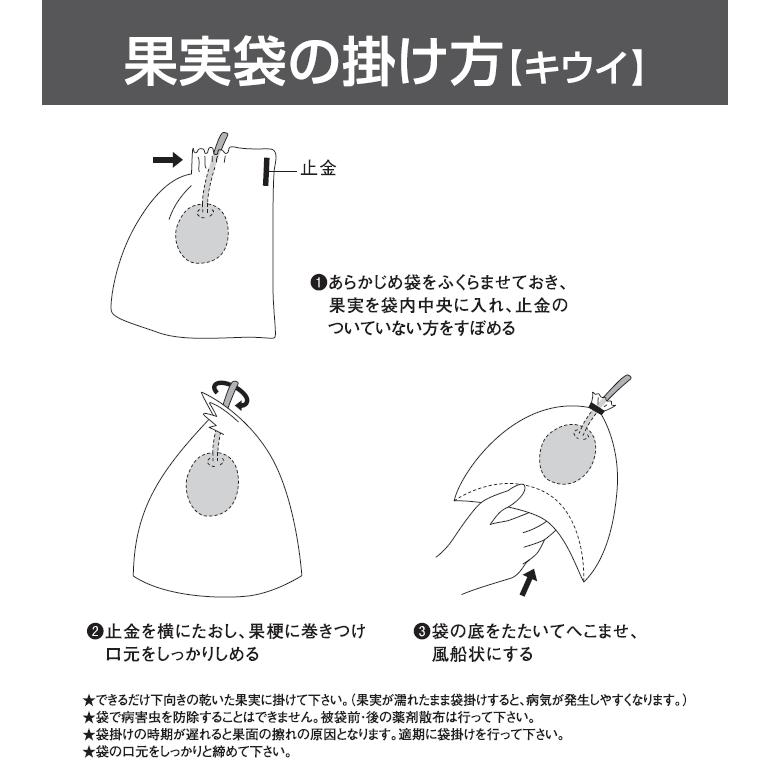 星野株式会社 果実袋 キウイ一重袋入りパック