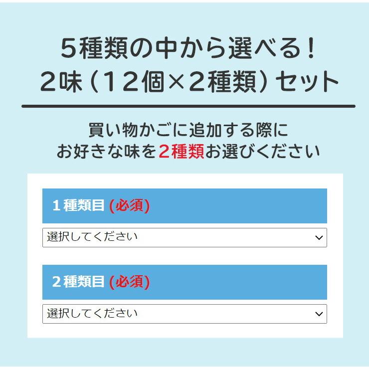 R1 R-1 ヨーグルト 明治 プロビオ 112g 健康 効能 乳酸菌 6種類から 選べる 2味 （ 24個 セット