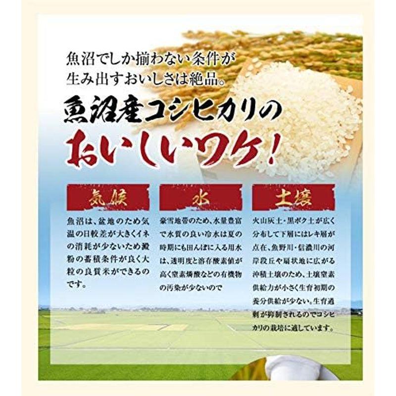 令和５年産 魚沼産 コシヒカリ JAみなみ魚沼農協 安心のＪＡ農協米 天地米 20kg 玄米