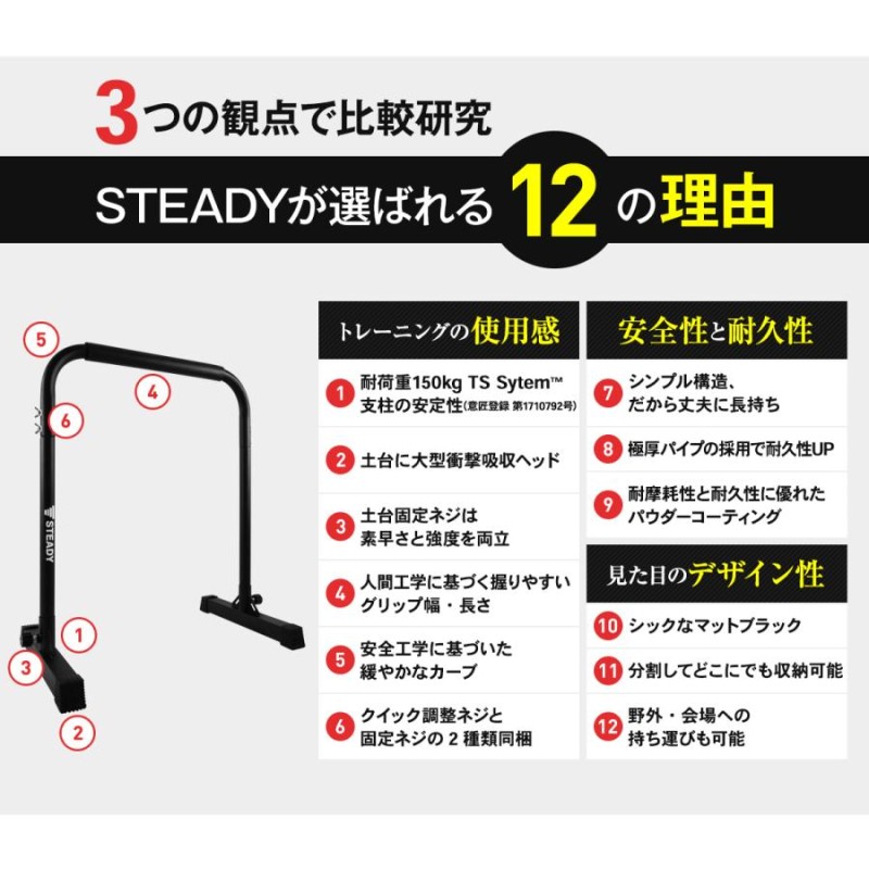 ディップススタンド 新開発TS System支柱 耐荷重150kg ディップスバー