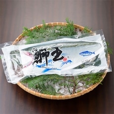 鰤王フィレ　約1.5kg