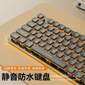 有線靜音鍵盤高顏值機械手感背光平板筆記本電腦打字女生辦公其他