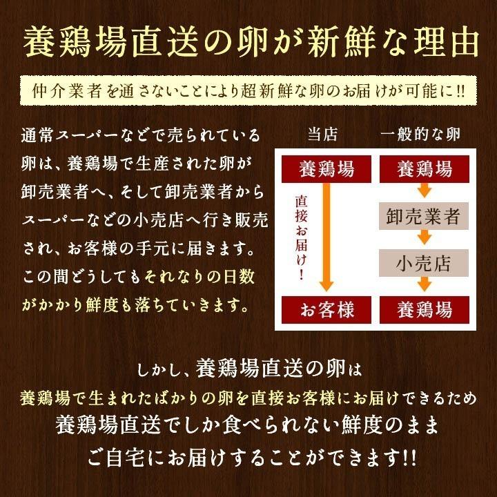 櫛田養鶏場 くしたま 10個入 (白卵)