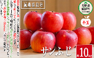 りんご サンふじ 小玉 10kg 丸茂ファーム 2024年1月下旬頃から2024年4月上旬頃まで順次発送予定 エコファーマー認定 信州の環境にやさしい農産物認証 令和5年度収穫分 フルーツ リンゴ 林檎 農家直送 予約 25500円 長野県 飯綱町 [0284]